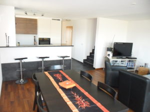 agence immobilière canton de valais