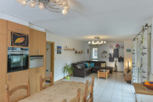 agence-immobilière-valais-massongex